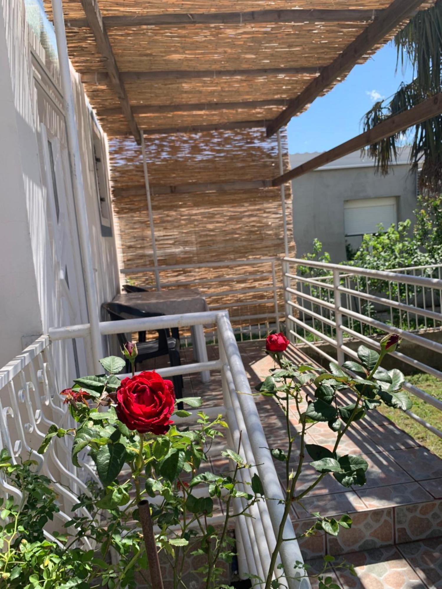 Apartmani Antonela Селине Екстериор снимка